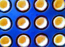 blue wrapped cupcakes
