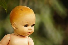 portrait of vintage puppet