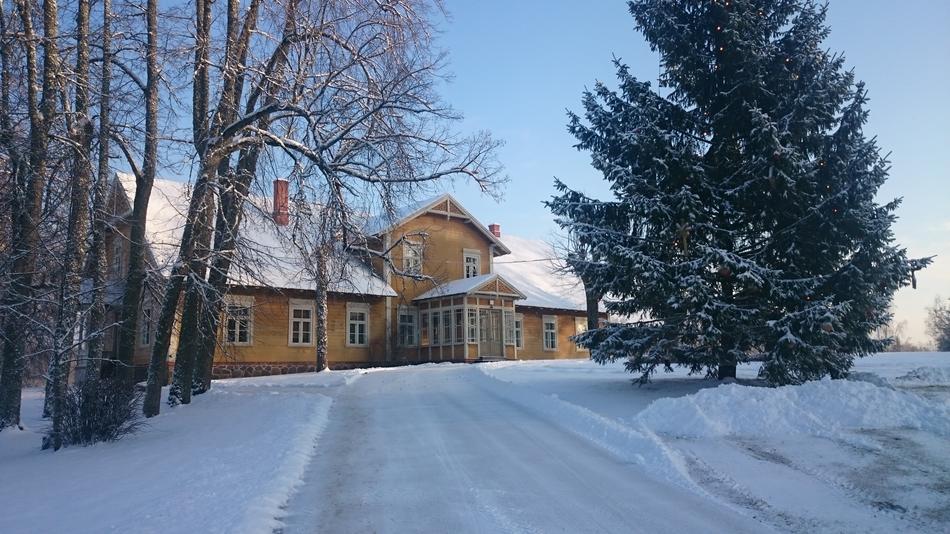 trees with a house in winter