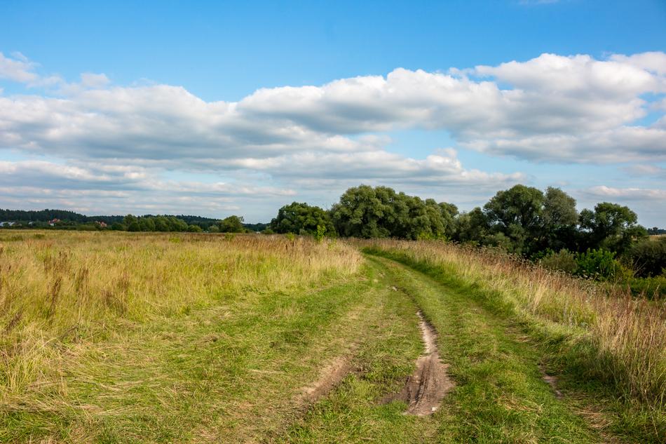 Road Dirt Field