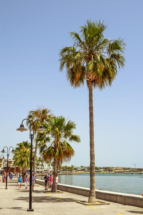 Promenade Harbor