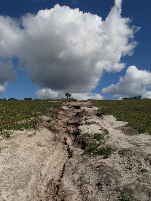 The Roads Road Track