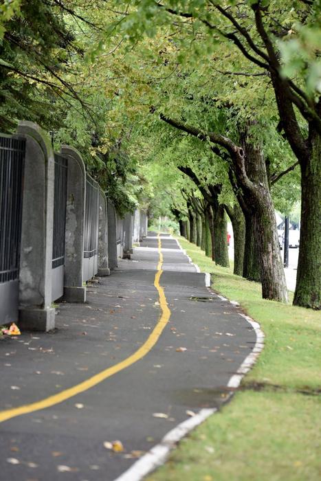 Beautiful bicycle path, among the fence and colorful trees, in Montréal, Canada