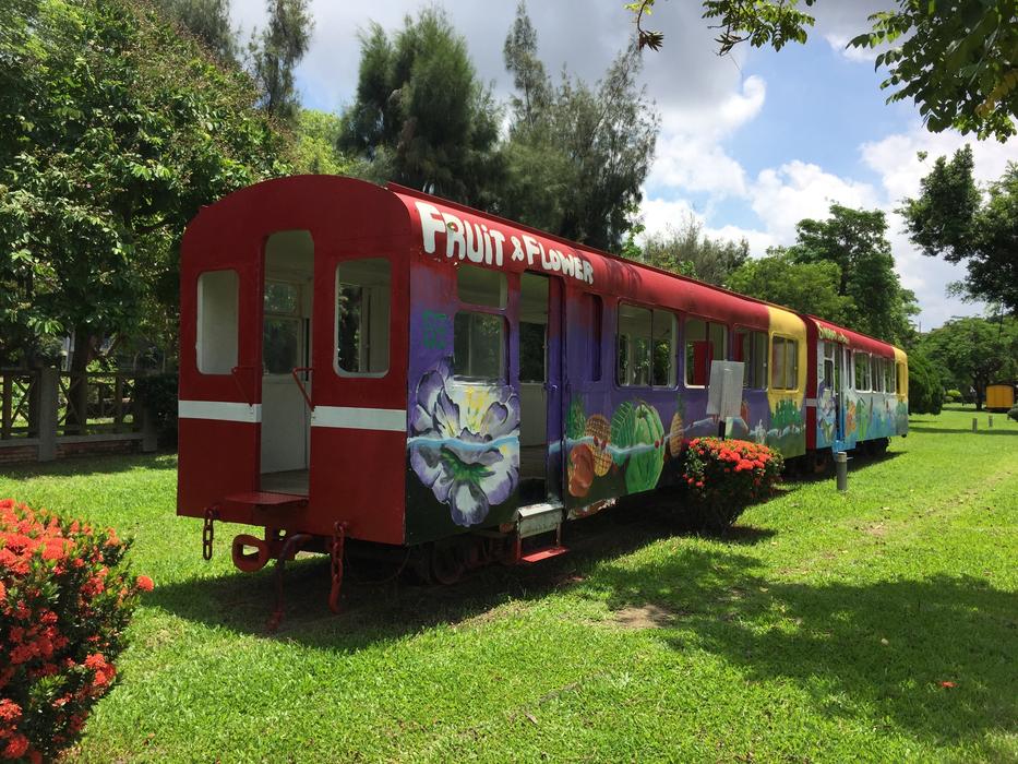 Train Railway Painted