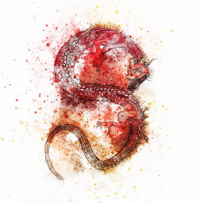 dragon animal fantasy art abstract