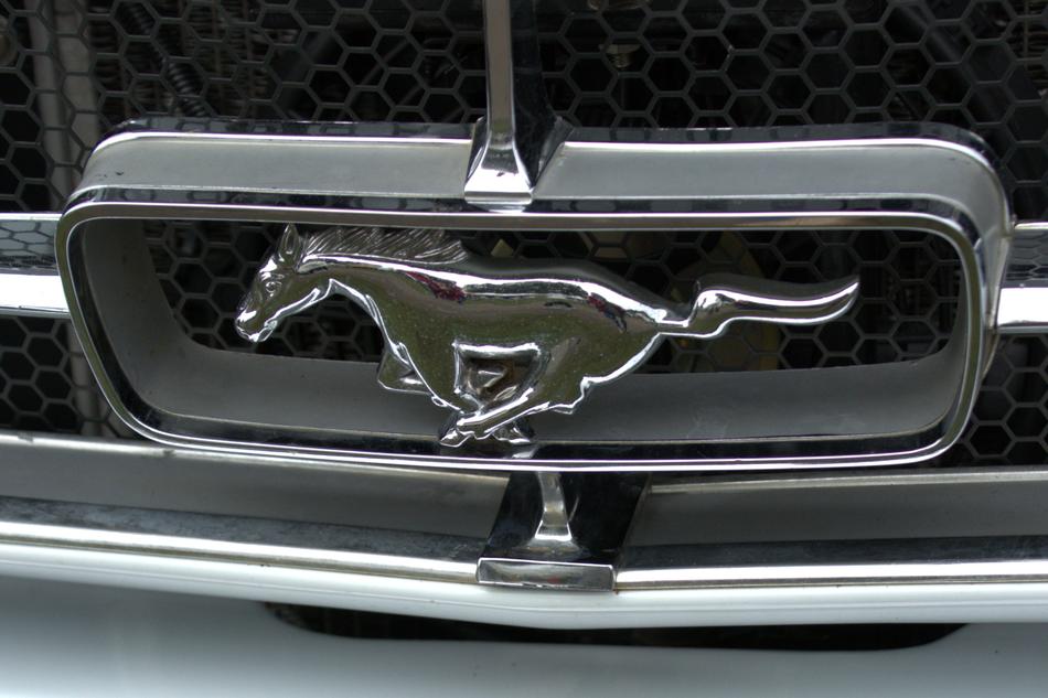 Ford Mustang Badge Grill