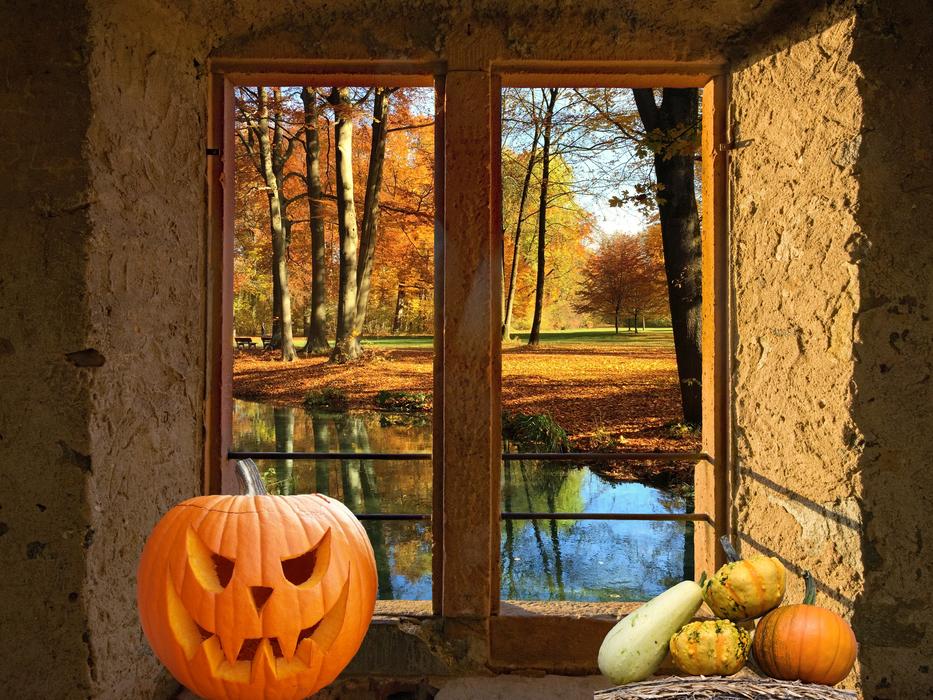 Window Autumn Pumpkin