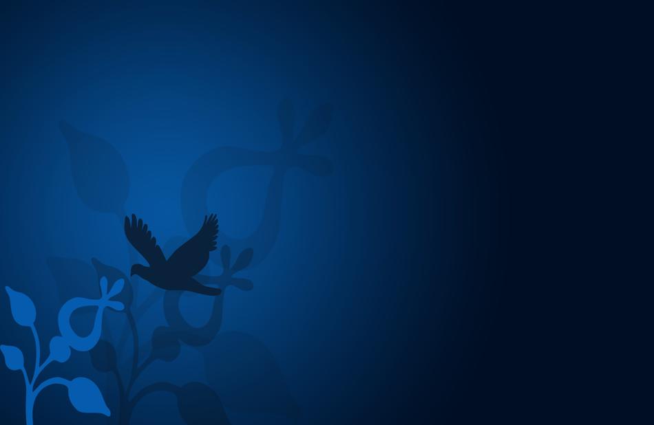 bird blue background