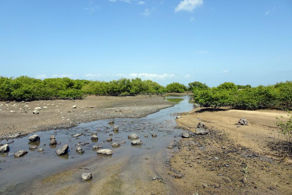 river on the rocky beach