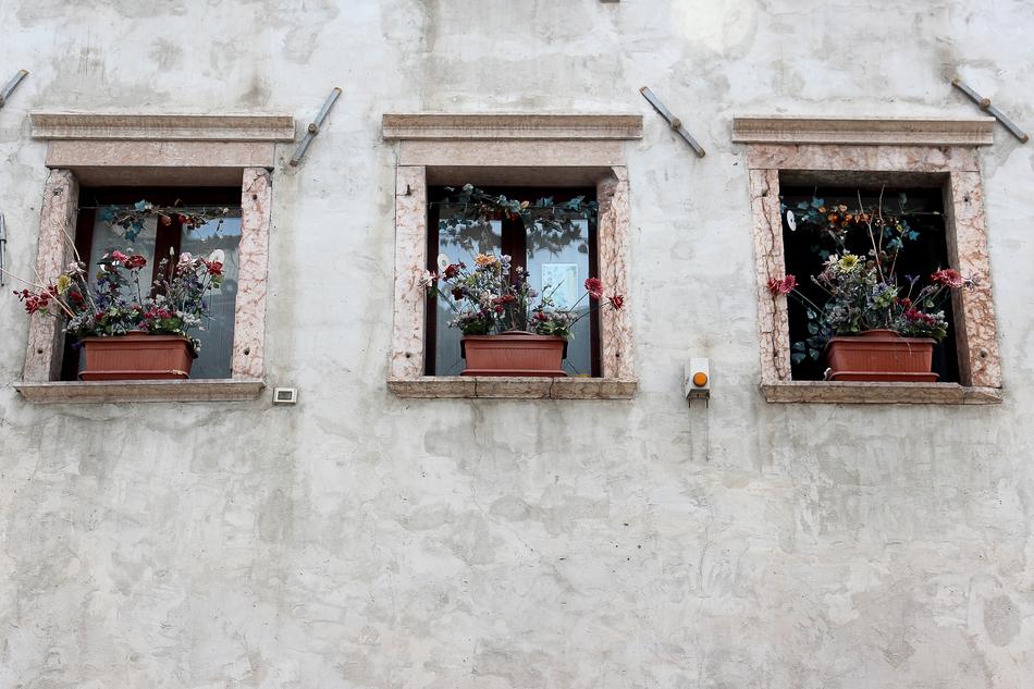 Building with the windows and beautiful and colorful flowers in the boxes