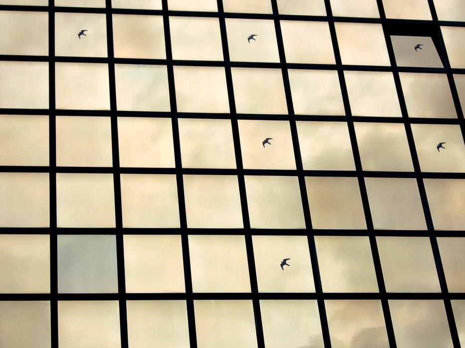 Window Glass Modern sky