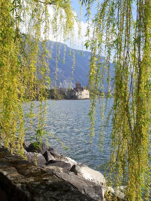 a lake hidden in the foliage