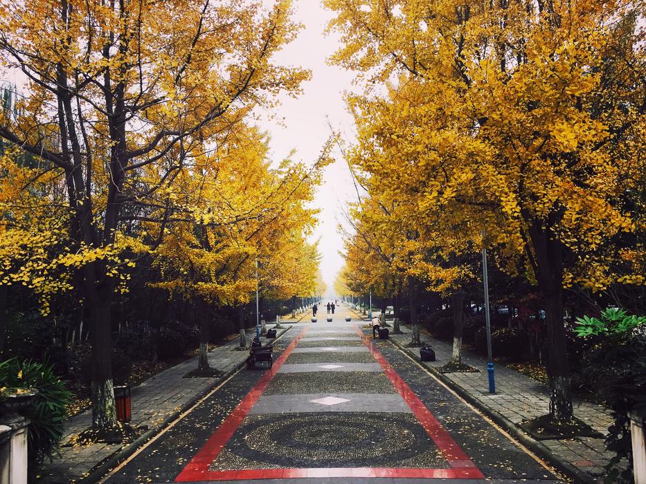 Chengdu China Street