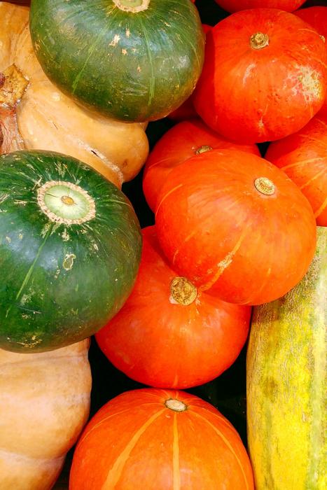 tasty healthy vegetables harvest