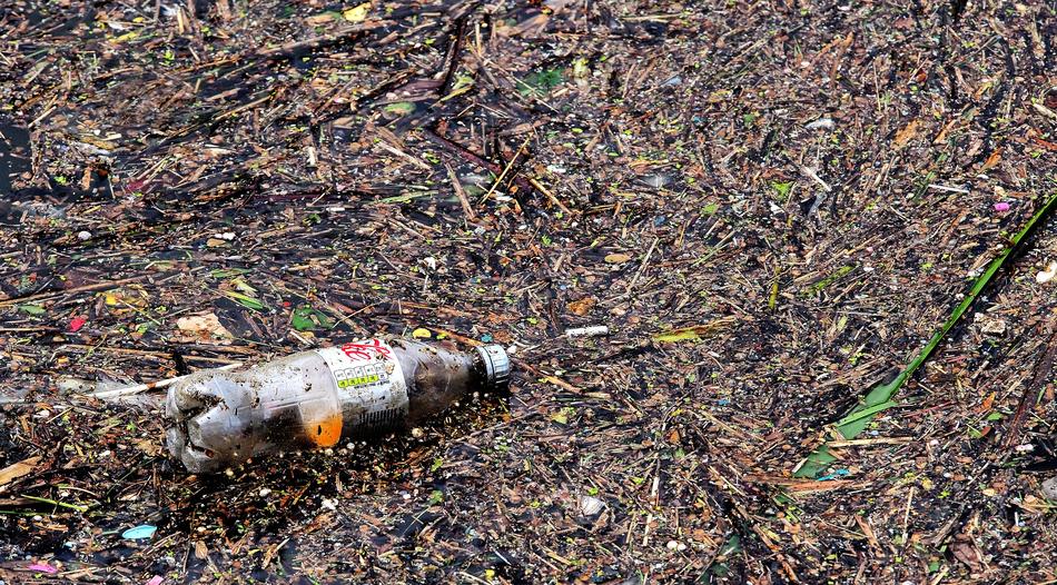 forgotten discarded bottle