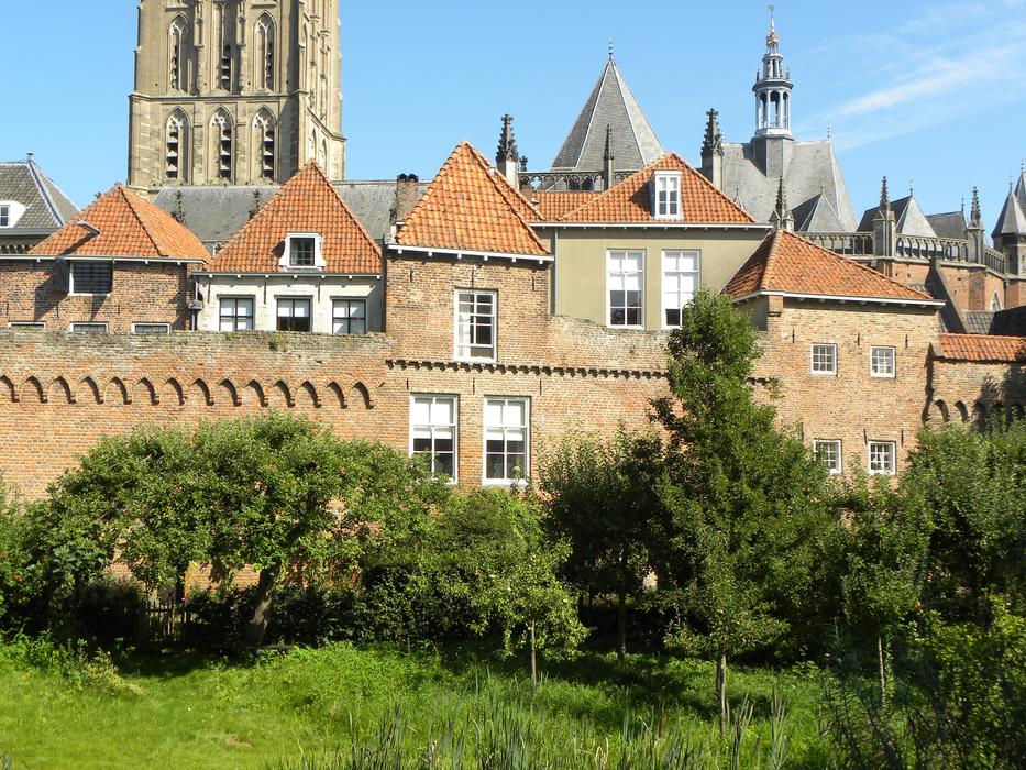 Beautiful and colorful houses of Zutphen, Netherlands, with the green plants