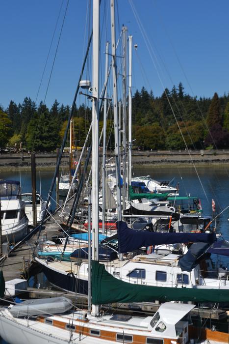 Beautiful pot of Vancouver with boats in Canada