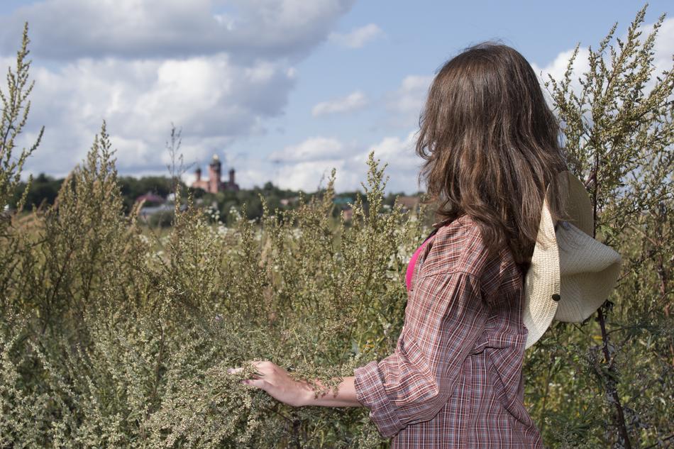 landscape of Girl Field and Temple