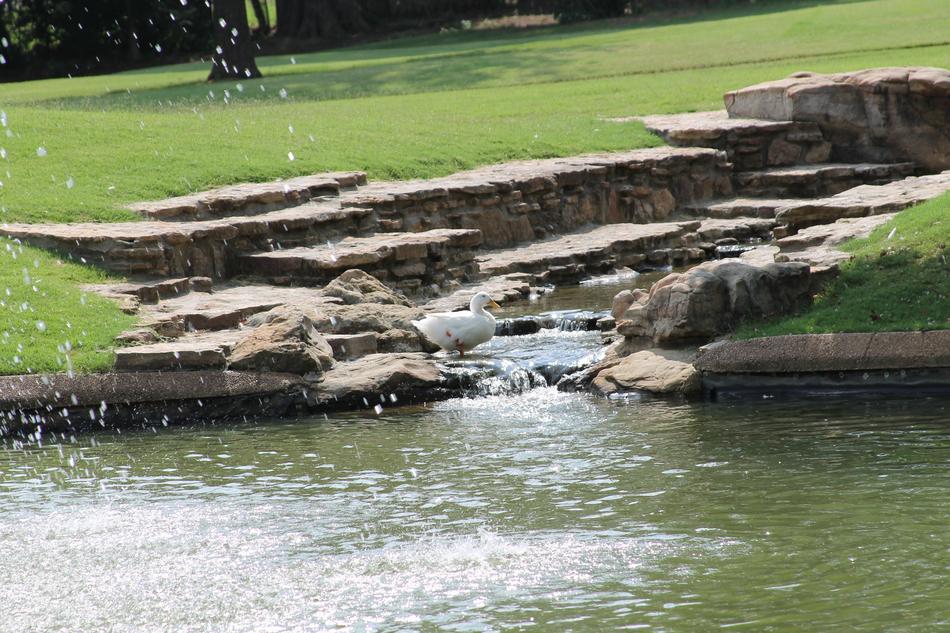 Japanese Garden Bartlett Tennessee