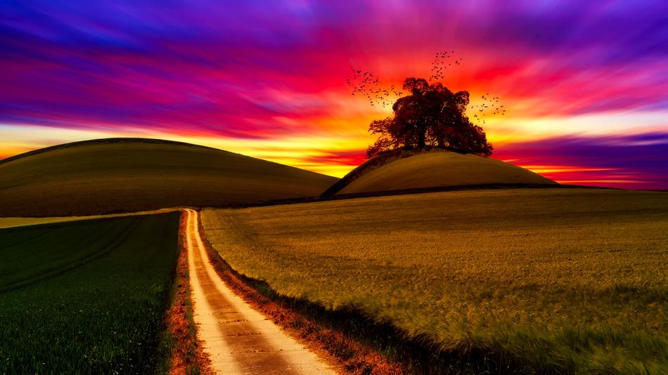 sunset field beautiful landscape