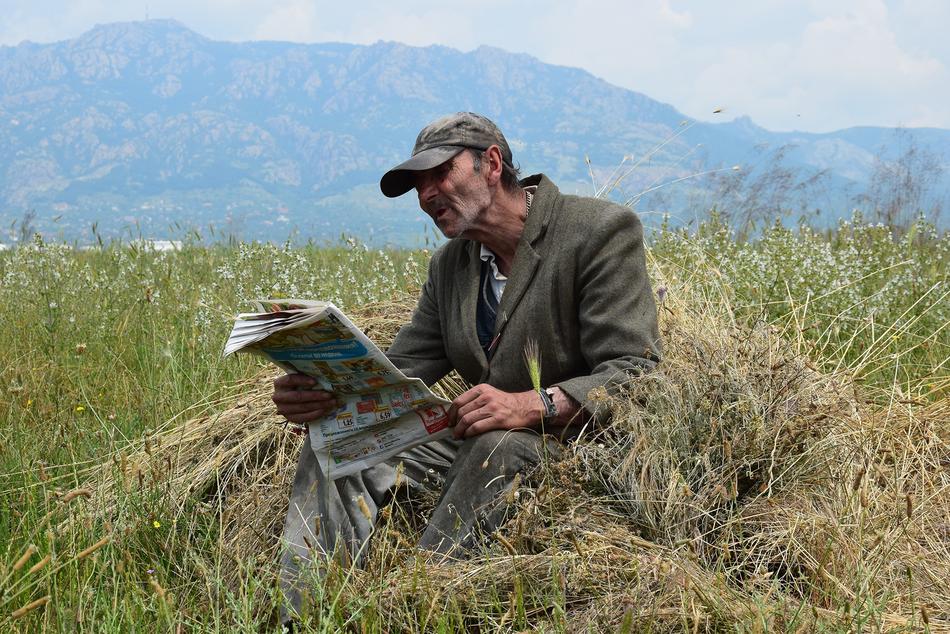 old Man Read in the field