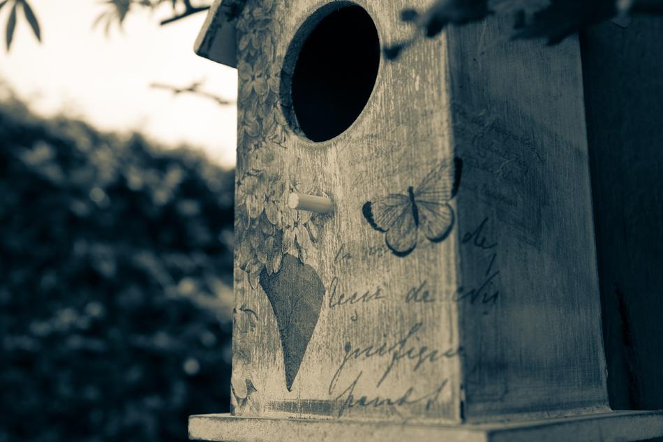 Beautiful birdhouse with the butterfly and vintage text, in light, among the plants