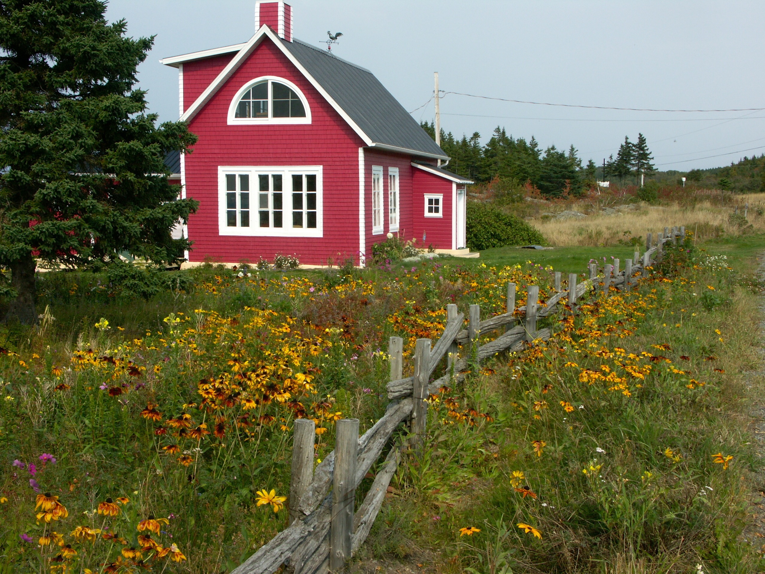 Зеленый дом с красной крышей фото