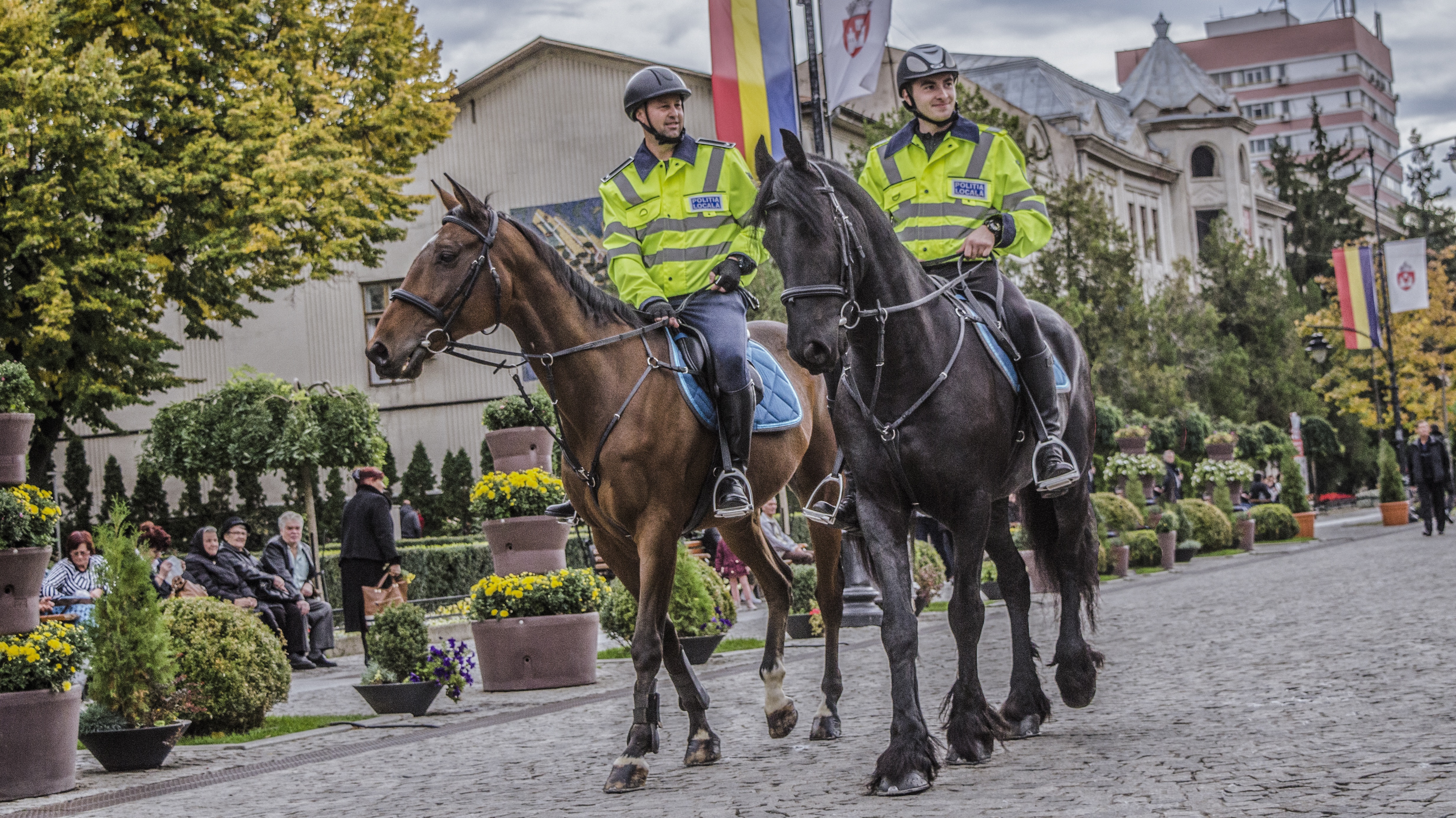Лошадь дали. Take my horse to the old town road. Памятник коню в воронеже. Take my horse to the old town road. Олд билли лошадь.