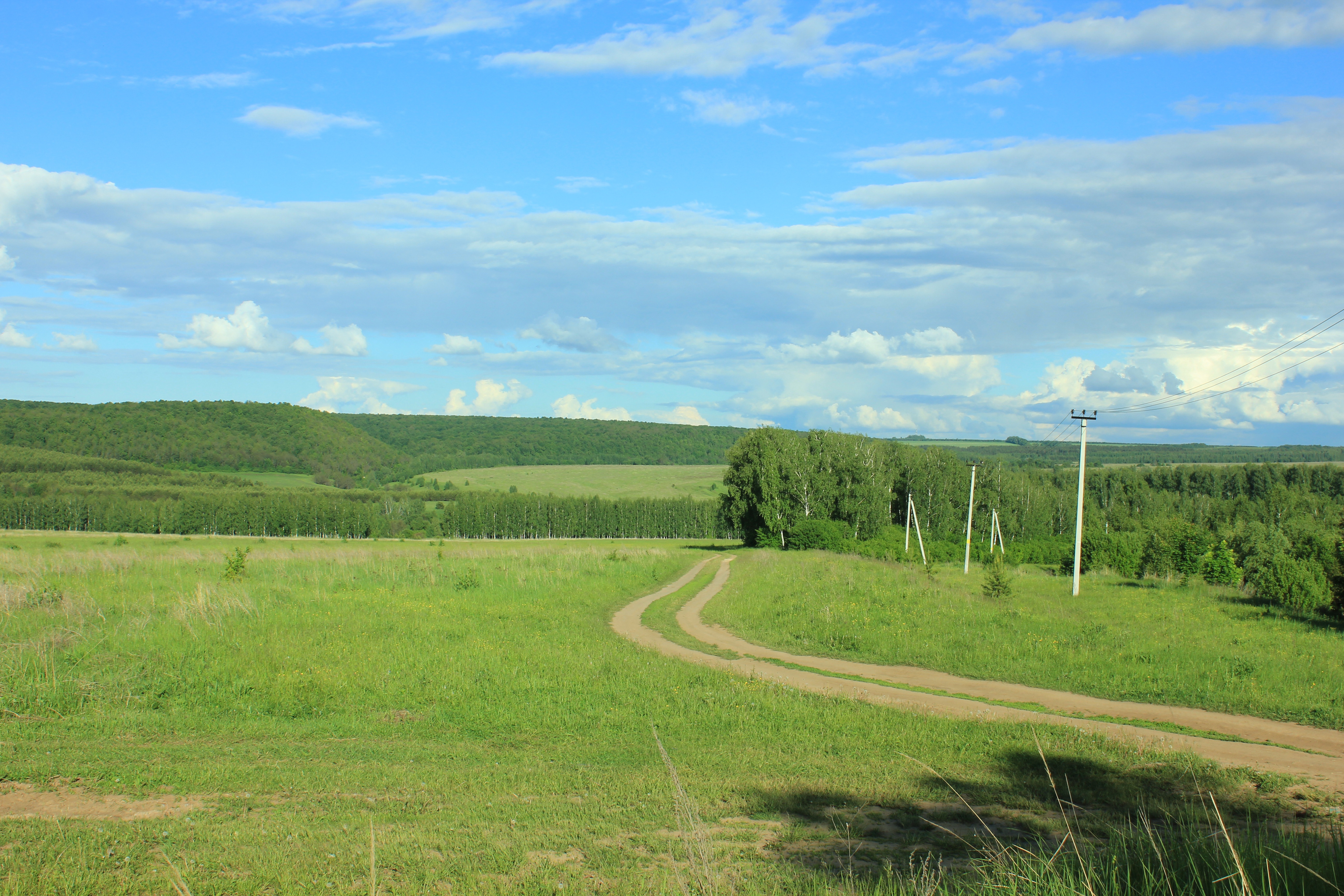 Winding trail in rural Landscape, Russia free image download