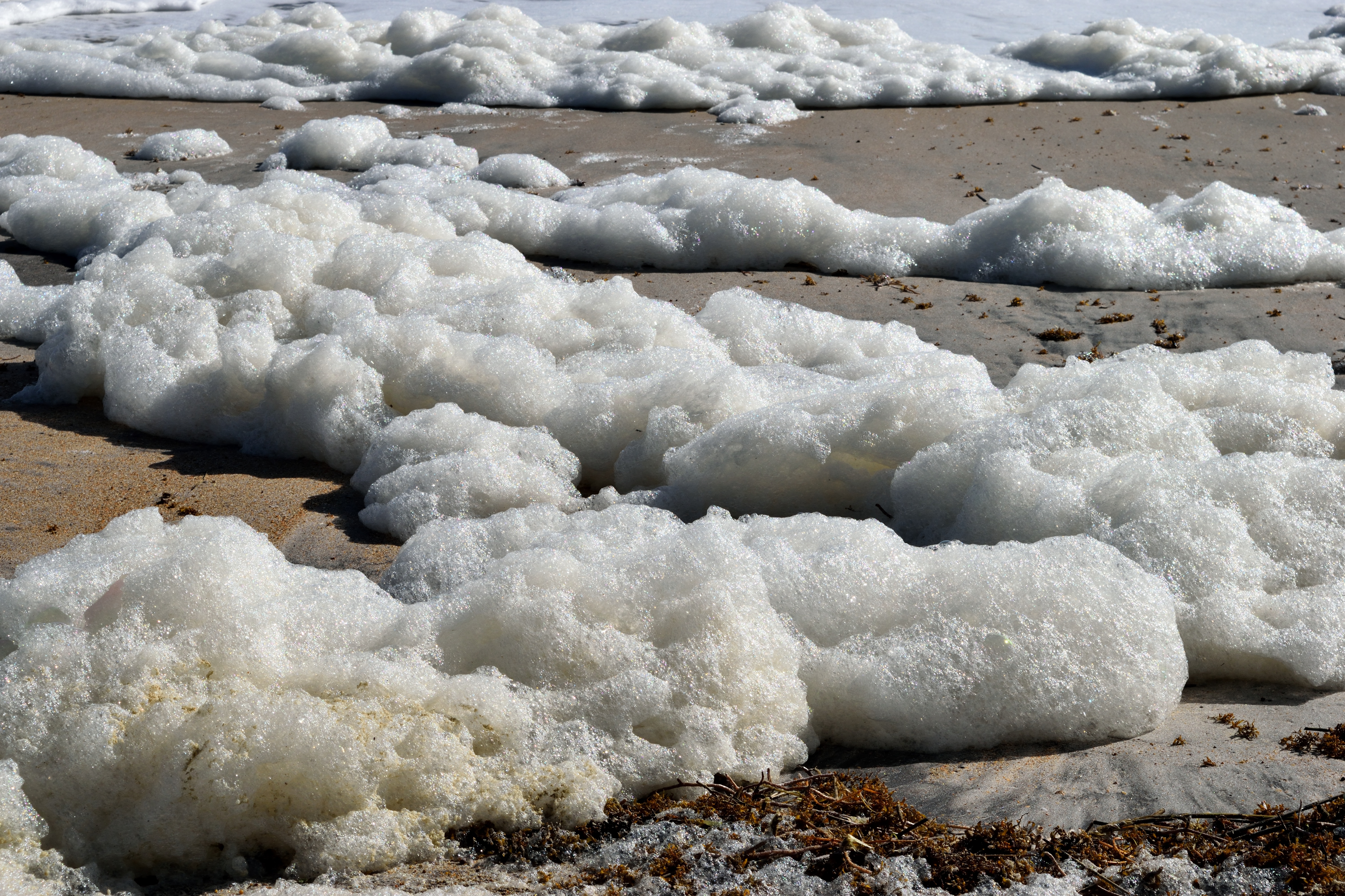 Белая пена. Ocean Foam. Пена которая растет. Пена в Америке на пляже. Пена у корабля.