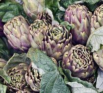 healthy vegetables artichoke