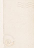 texture background