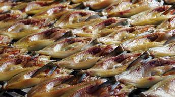 dried fish products