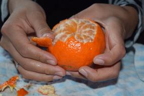 citrus peeling