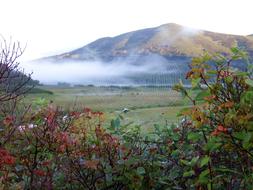 Mountains Lake Morning
