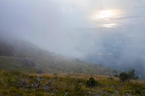 Fog at Nature view