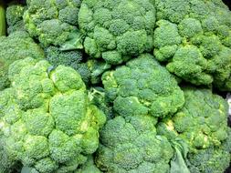 delicious green broccoli