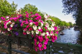 Canal Bridge City flowers pnk