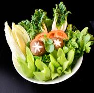 delicious vegetables in a salad