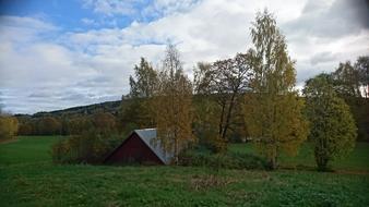 Barn Old and trees
