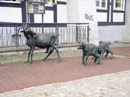 Animal Goat