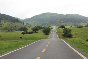 Extension Road
