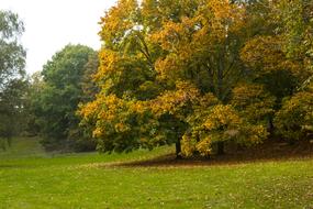 Autumn Park in Germany