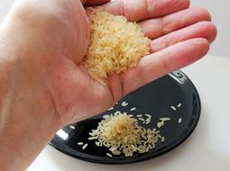 grains of rice in your hand