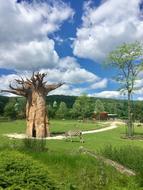 Nature Wood Baobab Work Of