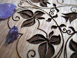 Mandala Plants Pattern