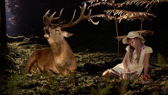 mystical image of a girl and a deer in the night forest