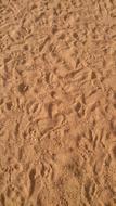 Close-up of the sand pattern with traces on the beach