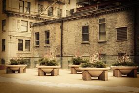 Retro photo of the buildings, with the beautiful and colorful plants