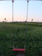 Swing and green grass